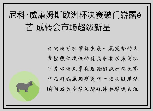 尼科·威廉姆斯欧洲杯决赛破门崭露锋芒 成转会市场超级新星